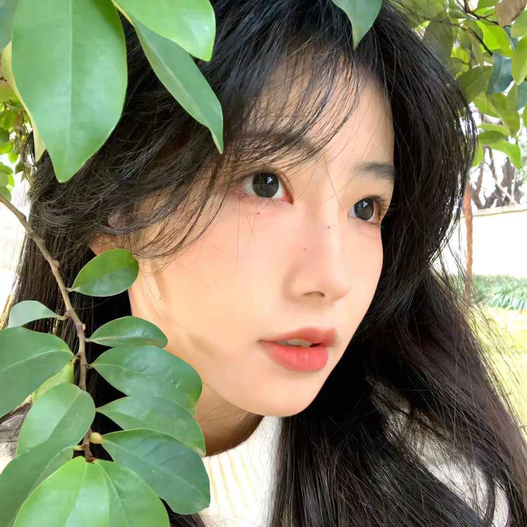 万物生灵第四季